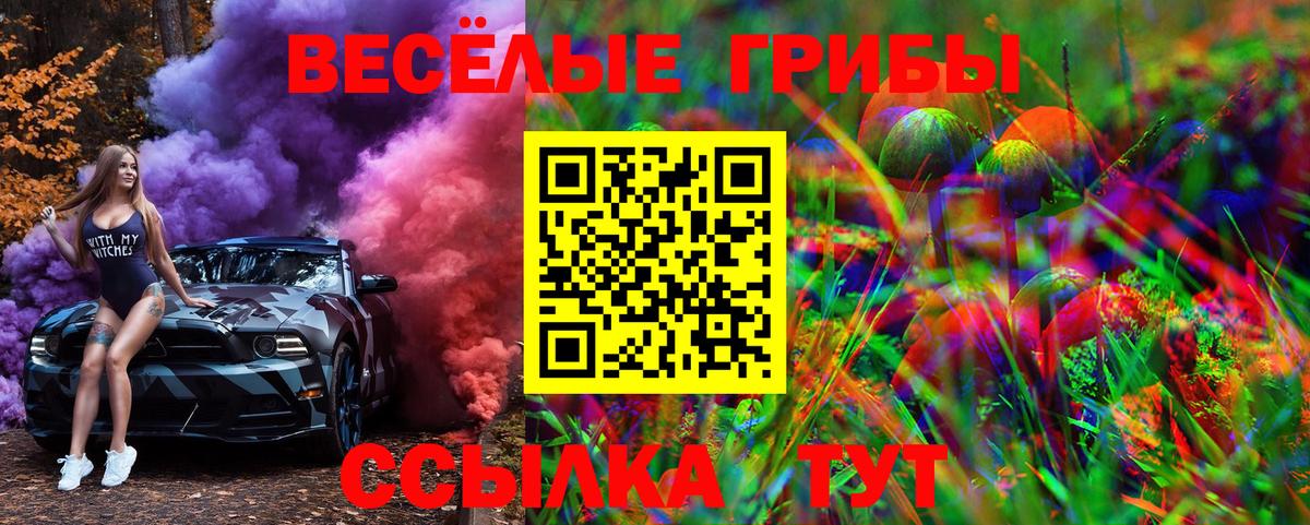 Псилоцибиновые грибы Psilocybe Миллерово