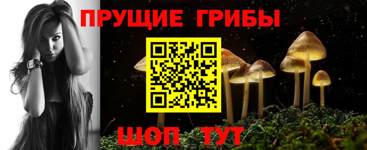купить наркотик  Псилоцибиновые грибы мицелий  Вход с VPN  Миллерово  Галлюциногенные грибы Psilocybine cubensis 